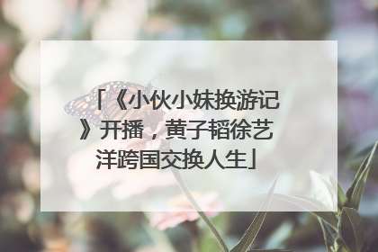 《小伙小妹换游记》开播，黄子韬徐艺洋跨国交换人生