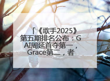 《歌手2025》第五期排名公布：GAI周延首夺第一，Grace第二，者来女揭榜成功，卫兰被淘汰