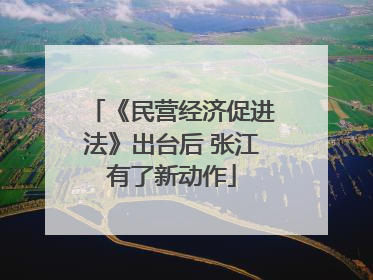 《民营经济促进法》出台后 张江有了新动作