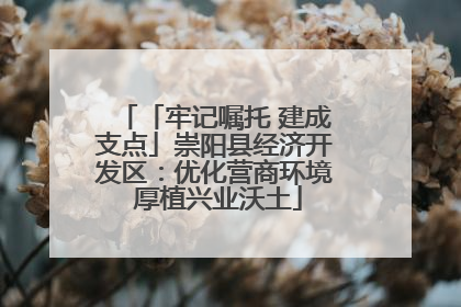 「牢记嘱托 建成支点」崇阳县经济开发区：优化营商环境 厚植兴业沃土