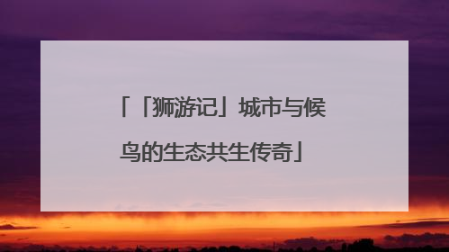 「狮游记」城市与候鸟的生态共生传奇