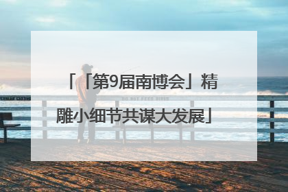 「第9届南博会」精雕小细节共谋大发展