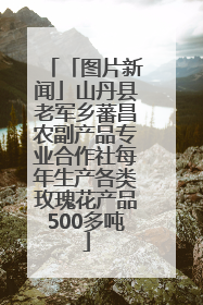 「图片新闻」山丹县老军乡蕃昌农副产品专业合作社每年生产各类玫瑰花产品500多吨
