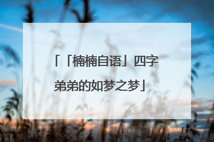 「楠楠自语」四字弟弟的如梦之梦