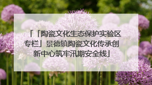「陶瓷文化生态保护实验区专栏」景德镇陶瓷文化传承创新中心筑牢汛期安全线