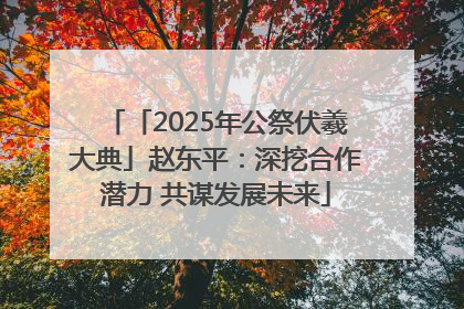 「2025年公祭伏羲大典」赵东平：深挖合作潜力 共谋发展未来