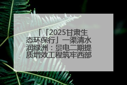 「2025甘肃生态环保行」一渠清水润绿洲：景电二期提质增效工程筑牢西部生态安全屏障