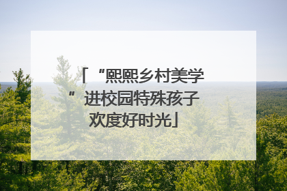 “熙熙乡村美学”进校园特殊孩子欢度好时光