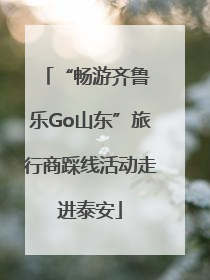 “畅游齐鲁 乐Go山东”旅行商踩线活动走进泰安