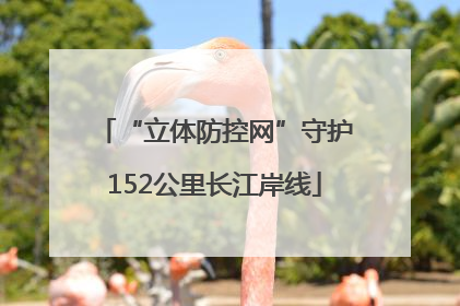 “立体防控网”守护152公里长江岸线