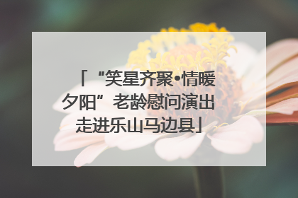 “笑星齐聚•情暖夕阳”老龄慰问演出走进乐山马边县
