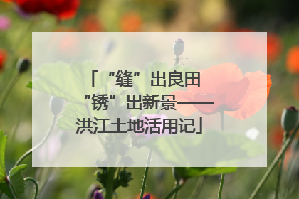 “缝”出良田 “锈”出新景——洪江土地活用记