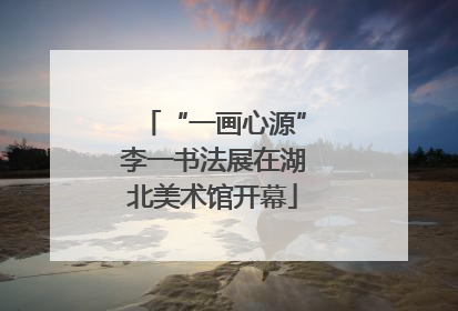 “一画心源”李一书法展在湖北美术馆开幕