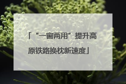 “一窗两用”提升高原铁路换枕新速度