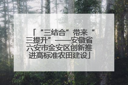 “三结合”带来“三提升”——安徽省六安市金安区创新推进高标准农田建设