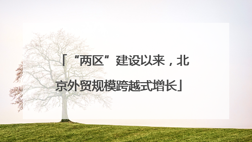 “两区”建设以来，北京外贸规模跨越式增长