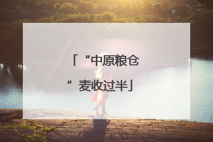 “中原粮仓”麦收过半