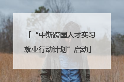 “中斯跨国人才实习就业行动计划”启动