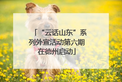 “云话山东”系列外宣活动第六期在德州启动
