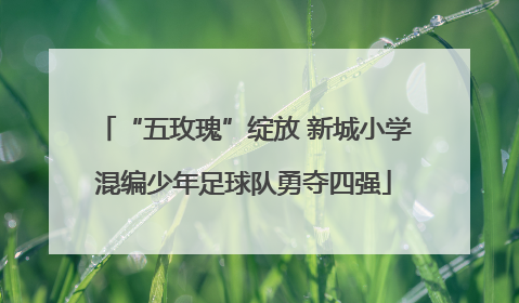 “五玫瑰”绽放 新城小学混编少年足球队勇夺四强