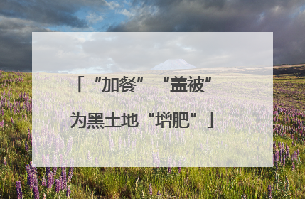 “加餐”“盖被” 为黑土地“增肥”