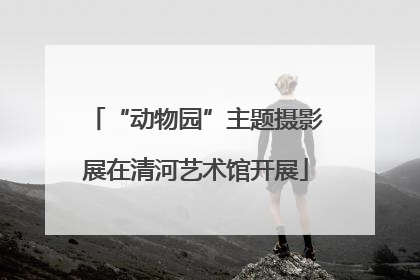 “动物园”主题摄影展在清河艺术馆开展
