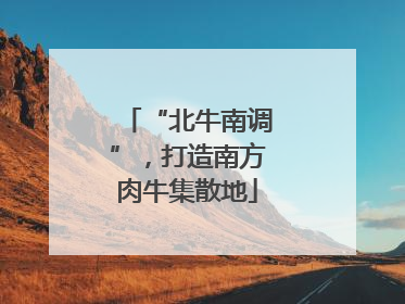 “北牛南调”，打造南方肉牛集散地