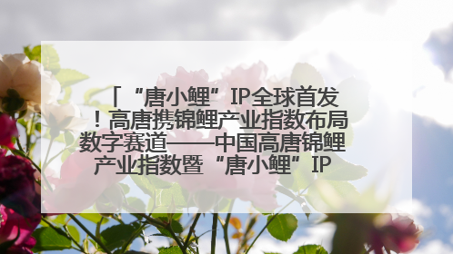 “唐小鲤”IP全球首发！高唐携锦鲤产业指数布局数字赛道——中国高唐锦鲤产业指数暨“唐小鲤”IP全球首发仪式在杭州举行