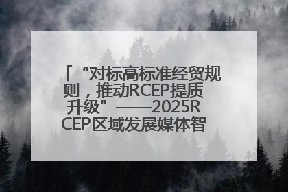 “对标高标准经贸规则，推动RCEP提质升级”——2025RCEP区域发展媒体智库论坛举行专题对话