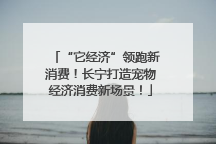 “它经济”领跑新消费！长宁打造宠物经济消费新场景！