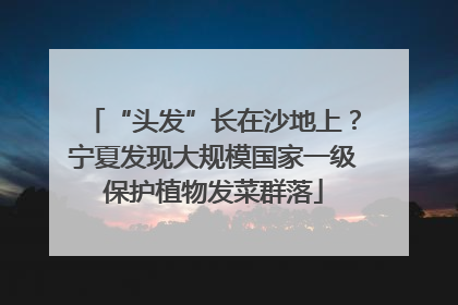 “头发”长在沙地上？宁夏发现大规模国家一级保护植物发菜群落