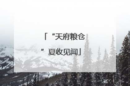 “天府粮仓”夏收见闻