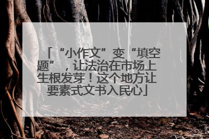 “小作文”变“填空题”，让法治在市场上生根发芽！这个地方让要素式文书入民心