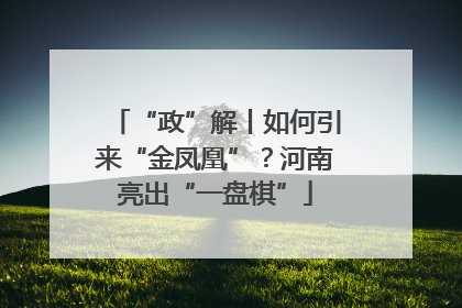 “政”解丨如何引来“金凤凰”？河南亮出“一盘棋”