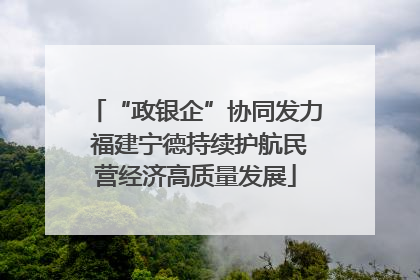 “政银企”协同发力 福建宁德持续护航民营经济高质量发展