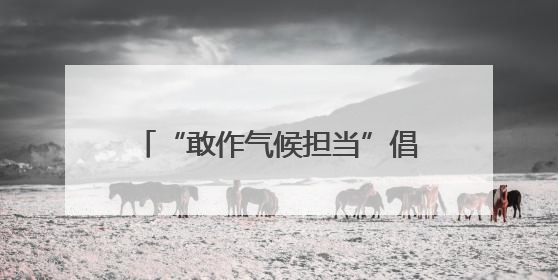 “敢作气候担当”倡导活动在北京启动