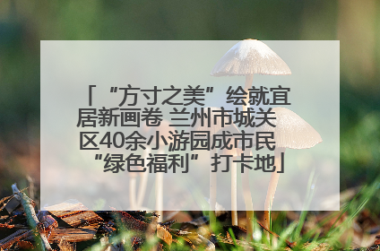 “方寸之美”绘就宜居新画卷 兰州市城关区40余小游园成市民“绿色福利”打卡地