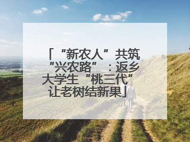“新农人”共筑“兴农路”：返乡大学生“桃三代”让老树结新果