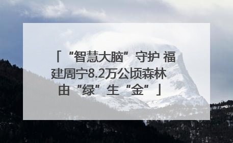 “智慧大脑”守护 福建周宁8.2万公顷森林由“绿”生“金”