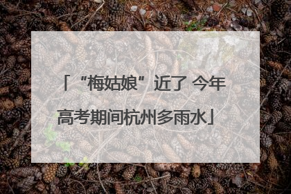 “梅姑娘”近了 今年高考期间杭州多雨水