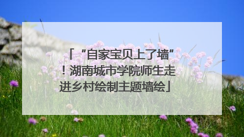 “自家宝贝上了墙”！湖南城市学院师生走进乡村绘制主题墙绘