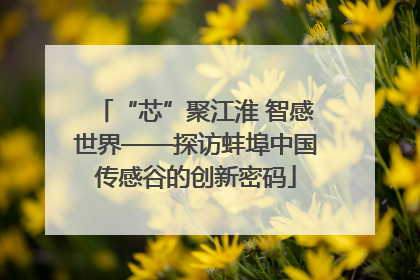 “芯”聚江淮 智感世界——探访蚌埠中国传感谷的创新密码