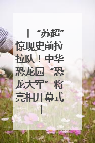 “苏超”惊现史前拉拉队！中华恐龙园“恐龙大军”将亮相开幕式