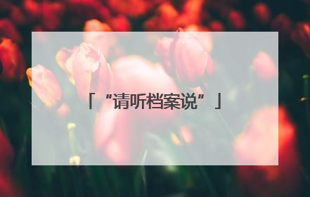 “请听档案说”