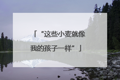 “这些小麦就像我的孩子一样”