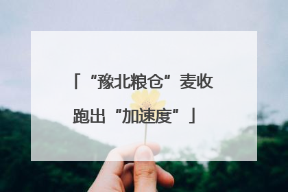 “豫北粮仓”麦收跑出“加速度”