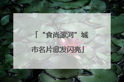 “食尚漯河”城市名片愈发闪亮