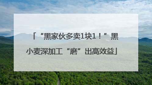 “黑家伙多卖1块1！”黑小麦深加工“磨”出高效益