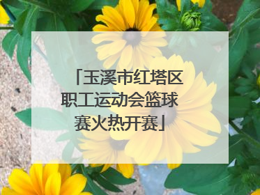 玉溪市红塔区职工运动会篮球赛火热开赛