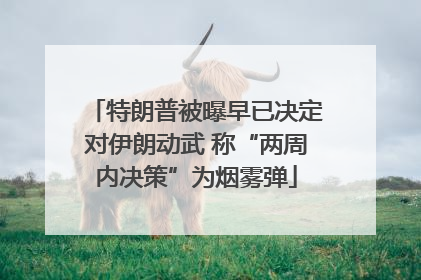 特朗普被曝早已决定对伊朗动武 称“两周内决策”为烟雾弹